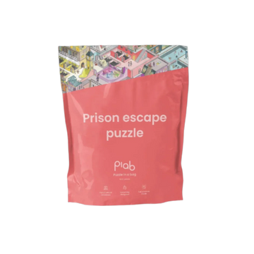 Prison Escape