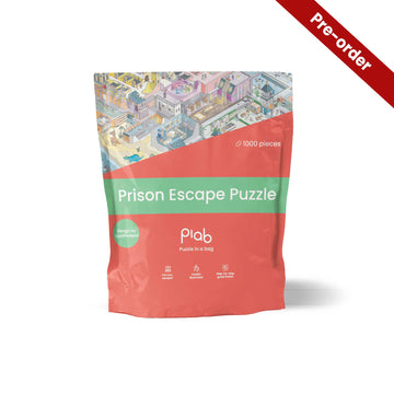 Prison Escape puzzle